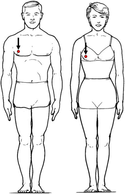 平均人（average man）  