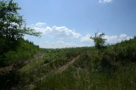 庆华古山寨遗址愿景