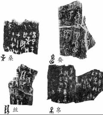 甲骨文记载