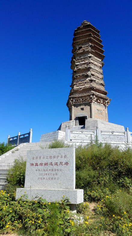 佛真猞猁迤逻尼塔