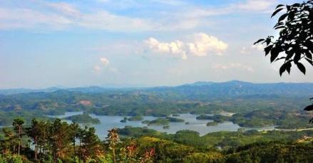 孔江湿地