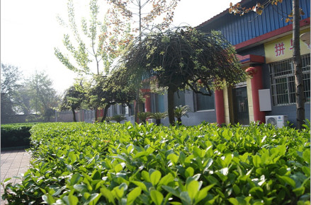 山西信息职业技术学院