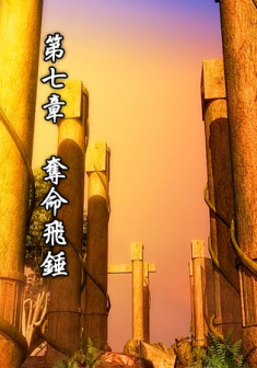 第七章 夺命飞锤