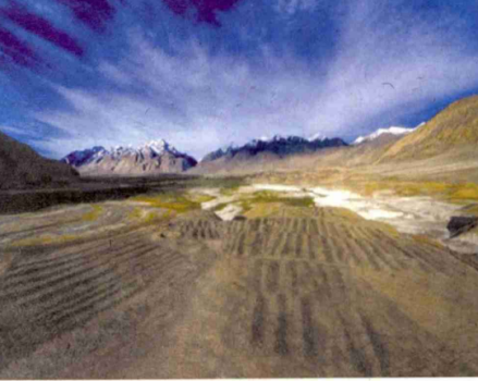 B区黑白石条遗迹