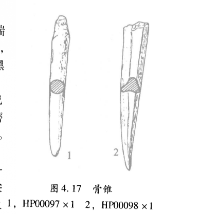 骨锥