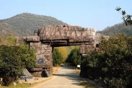 大口国家森林公园