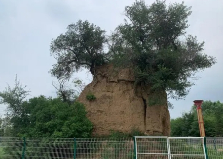 东京城城址城墙