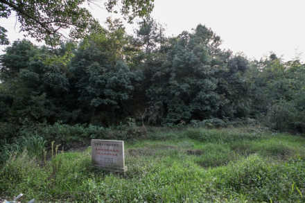 乌龟山越国贵族墓