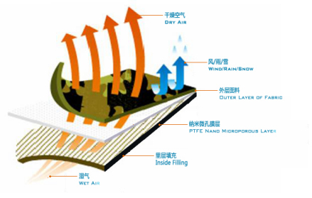 相关图册