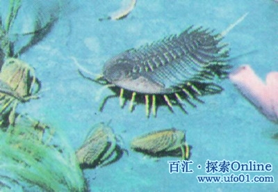 奥陶纪时期