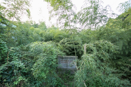 水竹庵桥头越国贵族墓