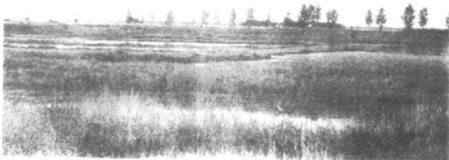 金奥里米古城遗址