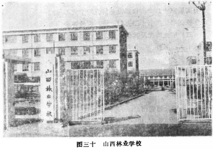 历史照片