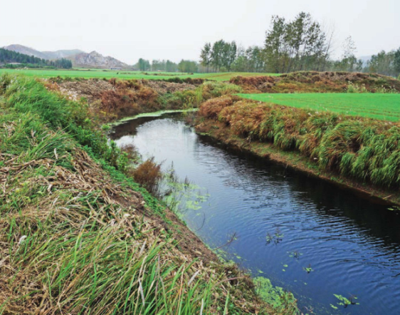 小山口遗址西侧倒流河