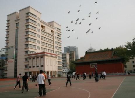 篮球场和教学楼