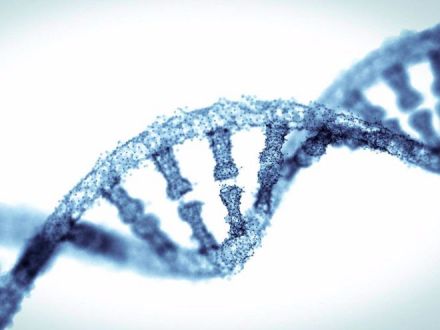 DNA