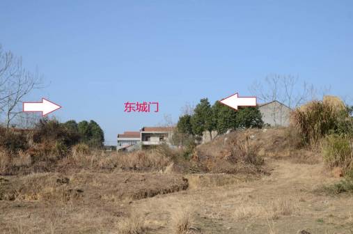 鄂王城城址