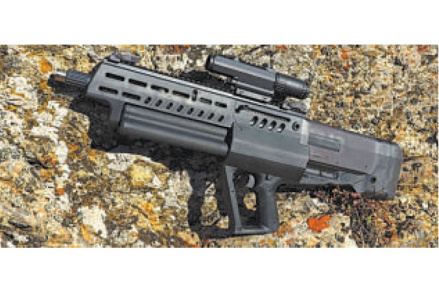 TS-12B“塔沃尔”霰弹枪 