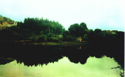 南禅湾晋墓群全景