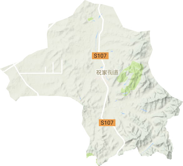 祝家街道地形图