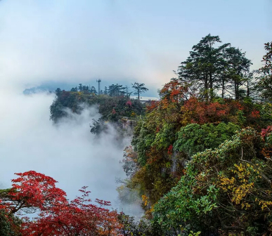 峨眉山秋景