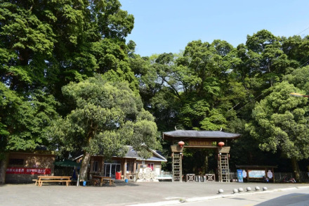 凤头楠木林景区