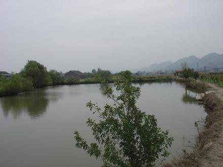 申鸣城遗址小城北城河