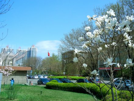 太原城市职业技术学院