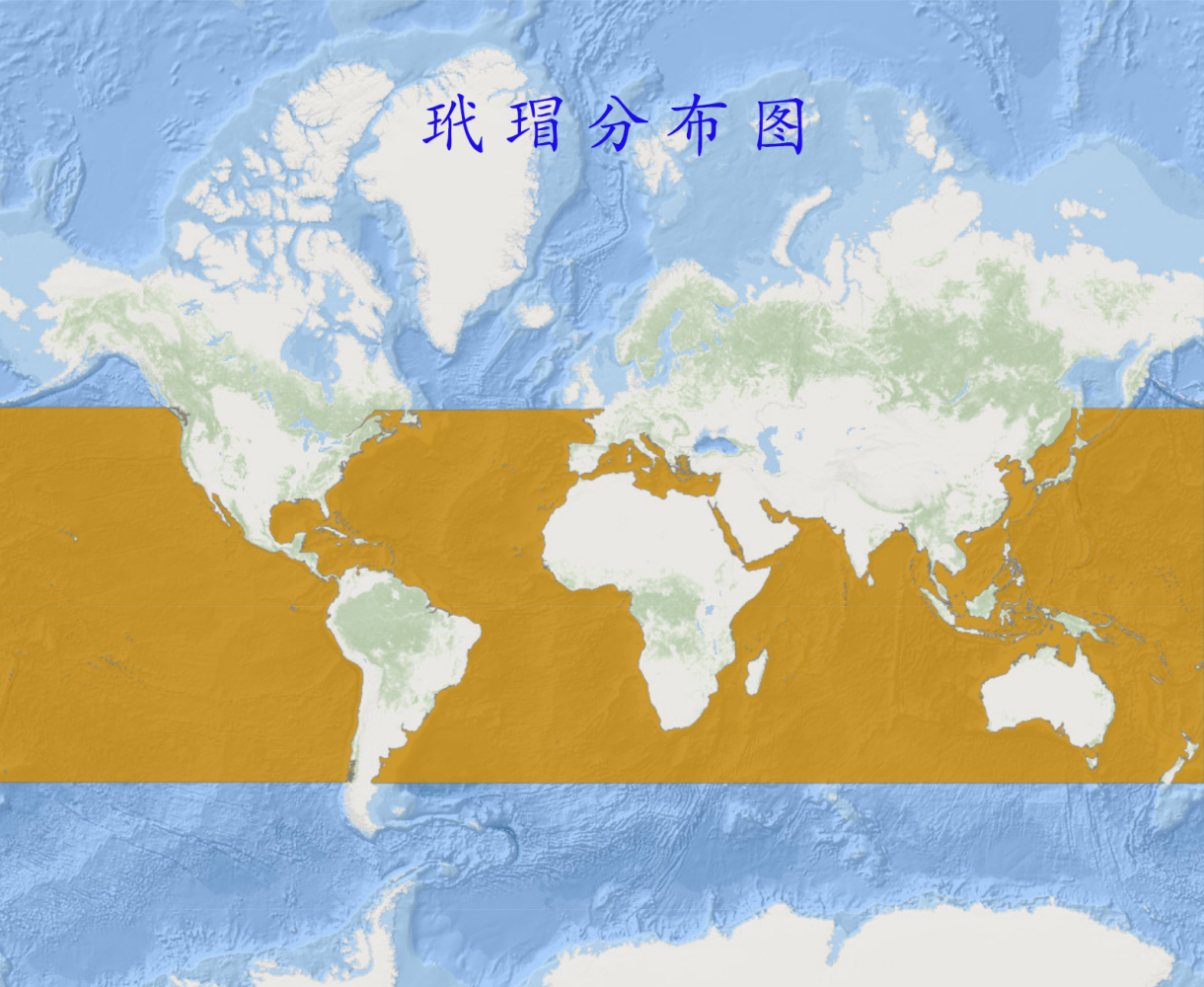 玳瑁分布图 