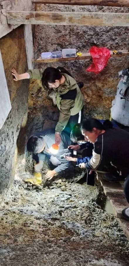 朱提故城遗址挖掘现场