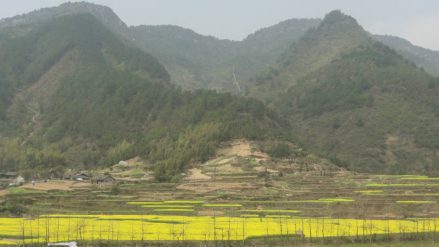 谭家湾遗址