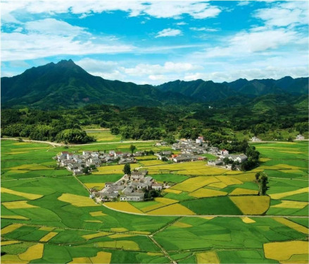 茂林景区