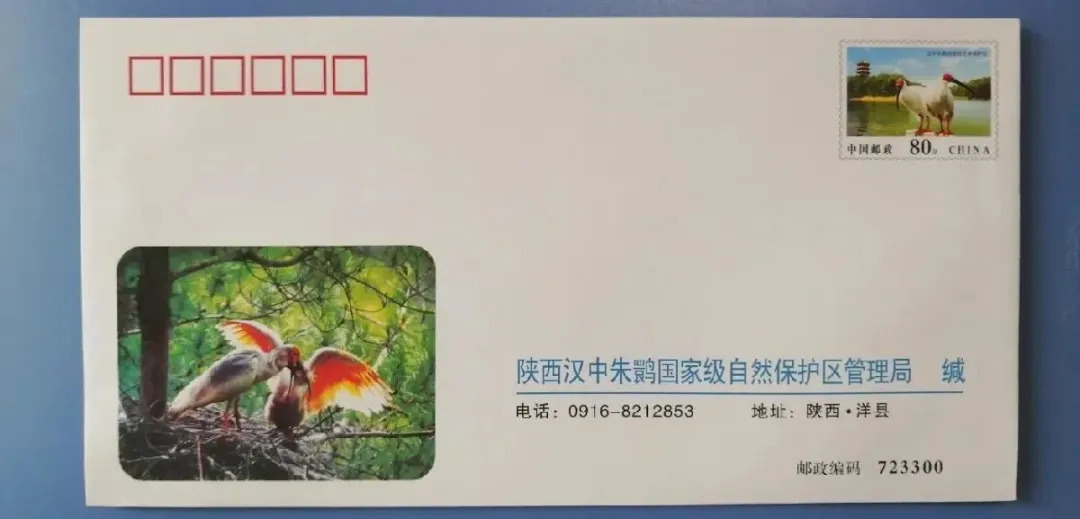 2006年中国发行的《陕西汉中朱鹮国家级自然保护区》邮资信封 