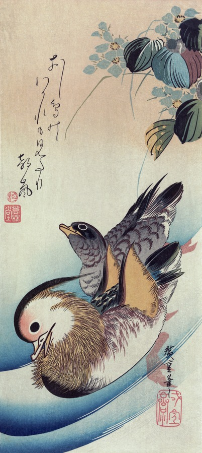 以鸳鸯为主题的画作