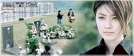 李心儿