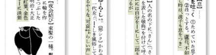 广辞苑 第六版 正文四