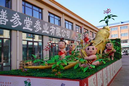 庆安中药材一条街上的人参稻作文化艺术品