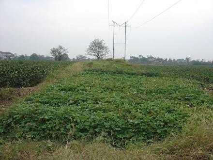 申鸣城遗址小城南城墙 