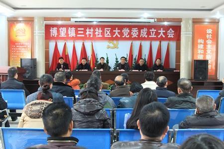 博望镇三村社区大党委成立大会
