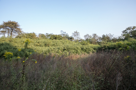 前山越国贵族墓