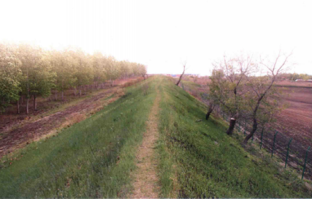 四面城城址北墙