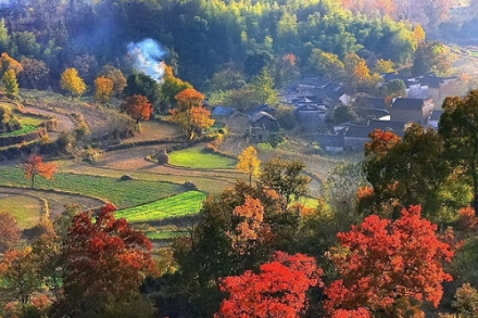 塔川