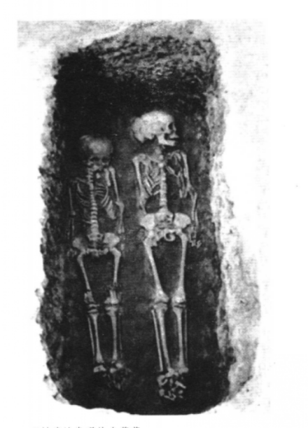 五村遗址发现的合葬墓