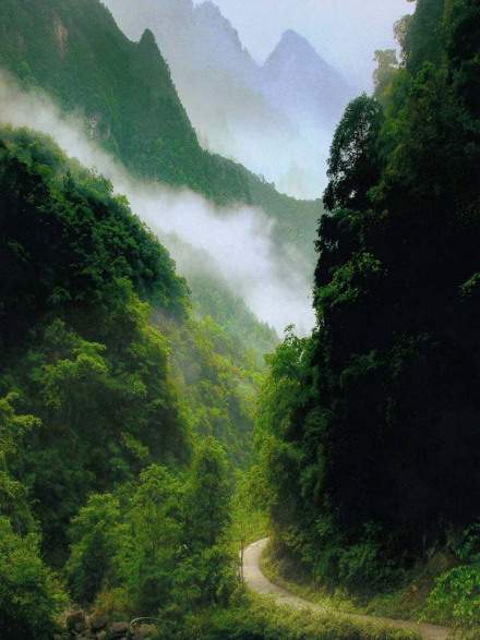 壶瓶山峡谷