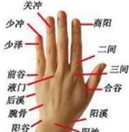 少冲穴