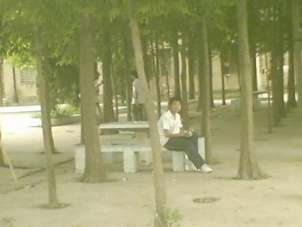 学校风光