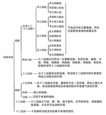 经络系统