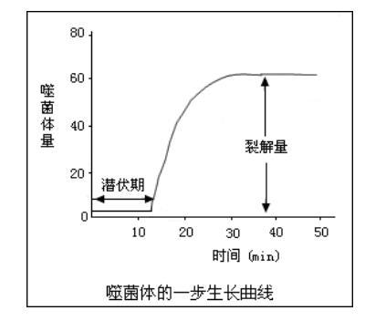 噬菌体生长曲线