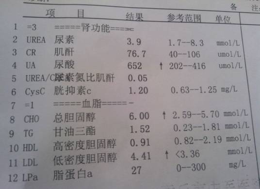 肾功能检查 肾功能检查