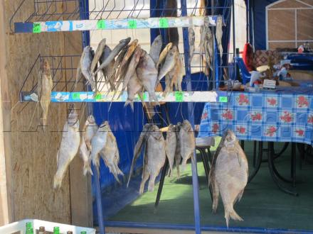 俄罗斯人晾晒的鱼干